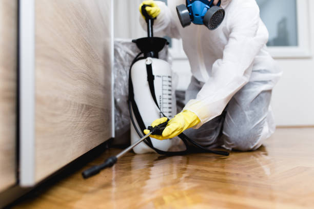 Best Flea Control Services  in Interlaken, CA