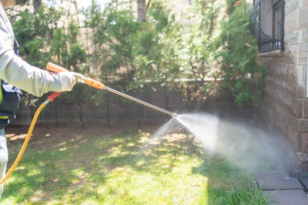 Best Pest Control Near Me  in Interlaken, CA