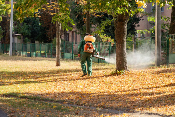 Best Residential Pest Control  in Interlaken, CA