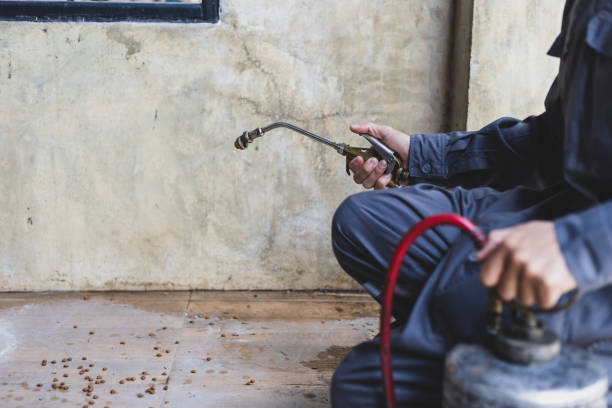 Best Exterminator Services  in Interlaken, CA